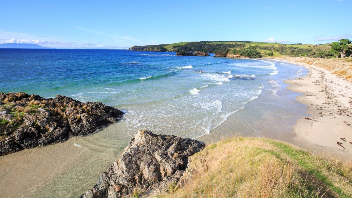 Photo credit: stuff.co.nz - Matakana Matakana