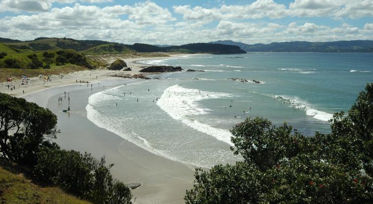 tawharanui regional park